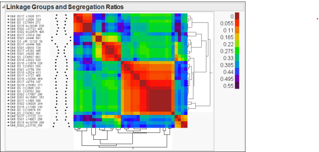 Linkage group and segregation-ratio heat map