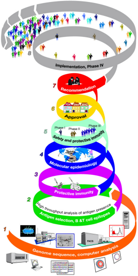 Reverse vaccinology pathway