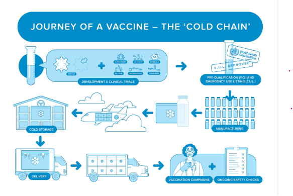 Journey of a vaccine through the cold chain