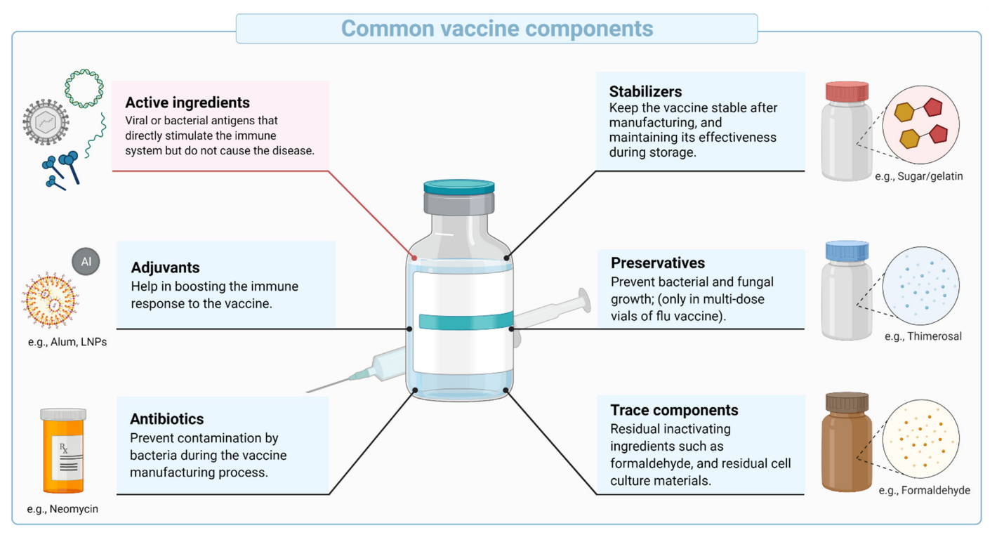 Common vaccine components