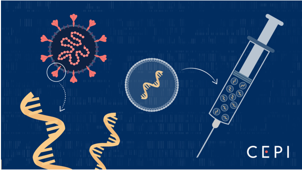 mRNA vaccine technology illustration
