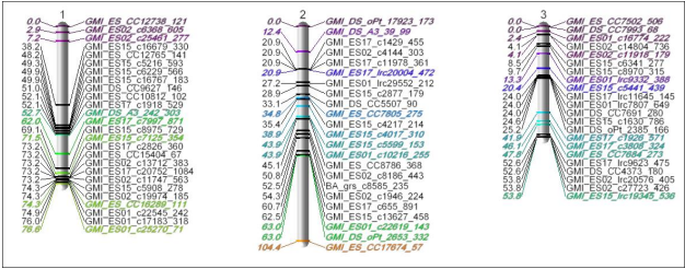 Graphical genetic maps
